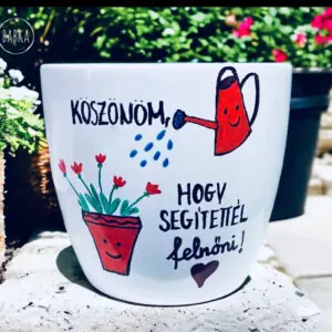 Anyák napi kaspó (Köszönöm, hogy segítettél felnőni!)