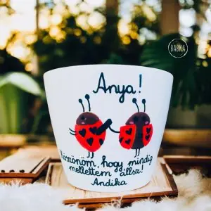 Anya (katica) kaspó (személyre szabható)