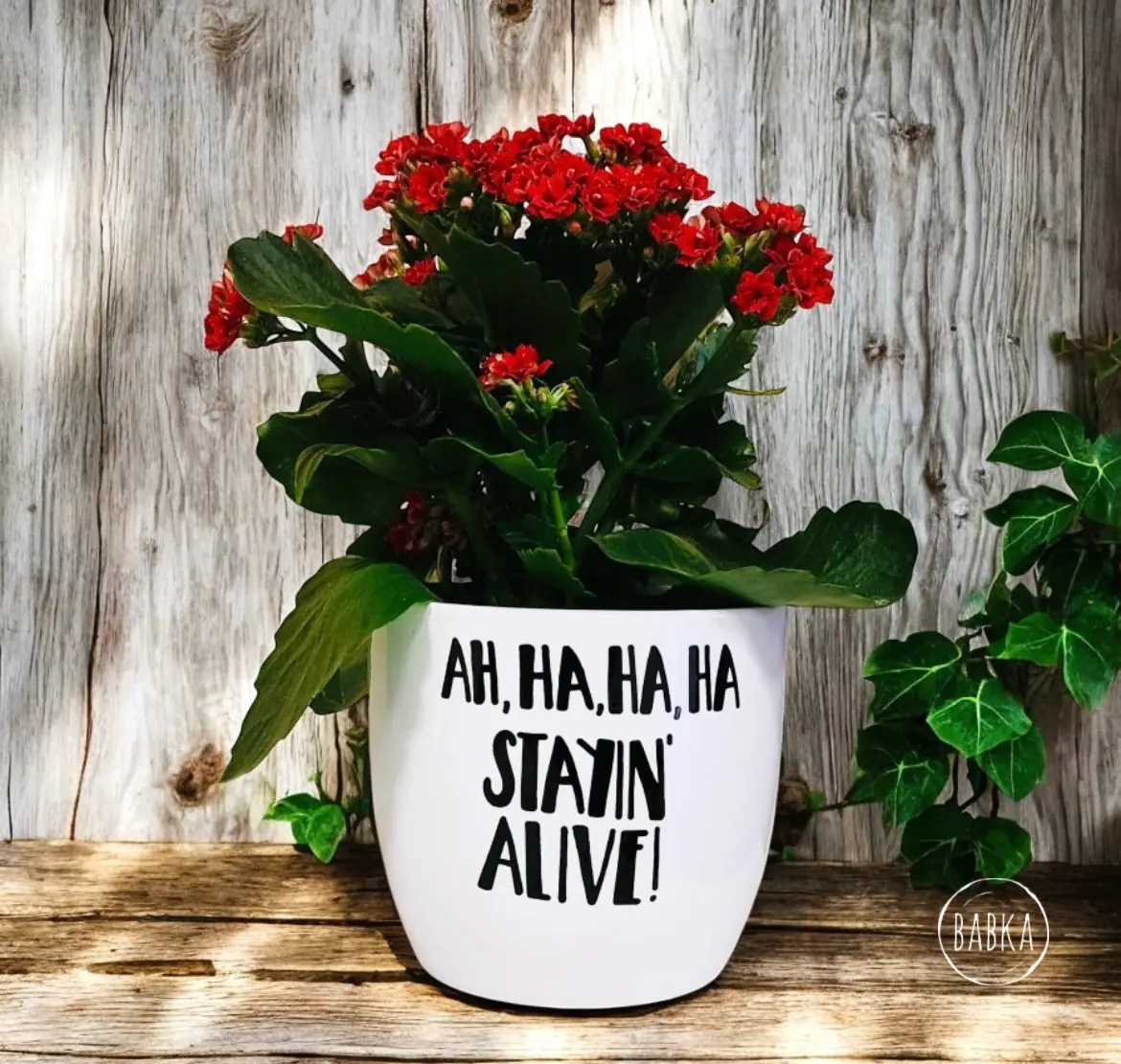 Stayin' alive kaspó