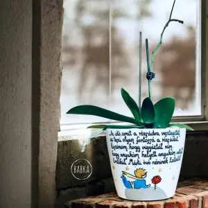 Ballagási kaspó (A kis herceg) (személyre szabható)