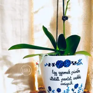 Ballagási kaspó (Örökké virágzik)