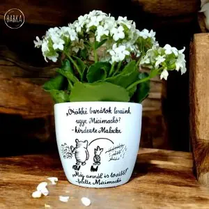 Micimackó barátság kaspó