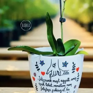 Ballagási kaspó (személyre szabható)