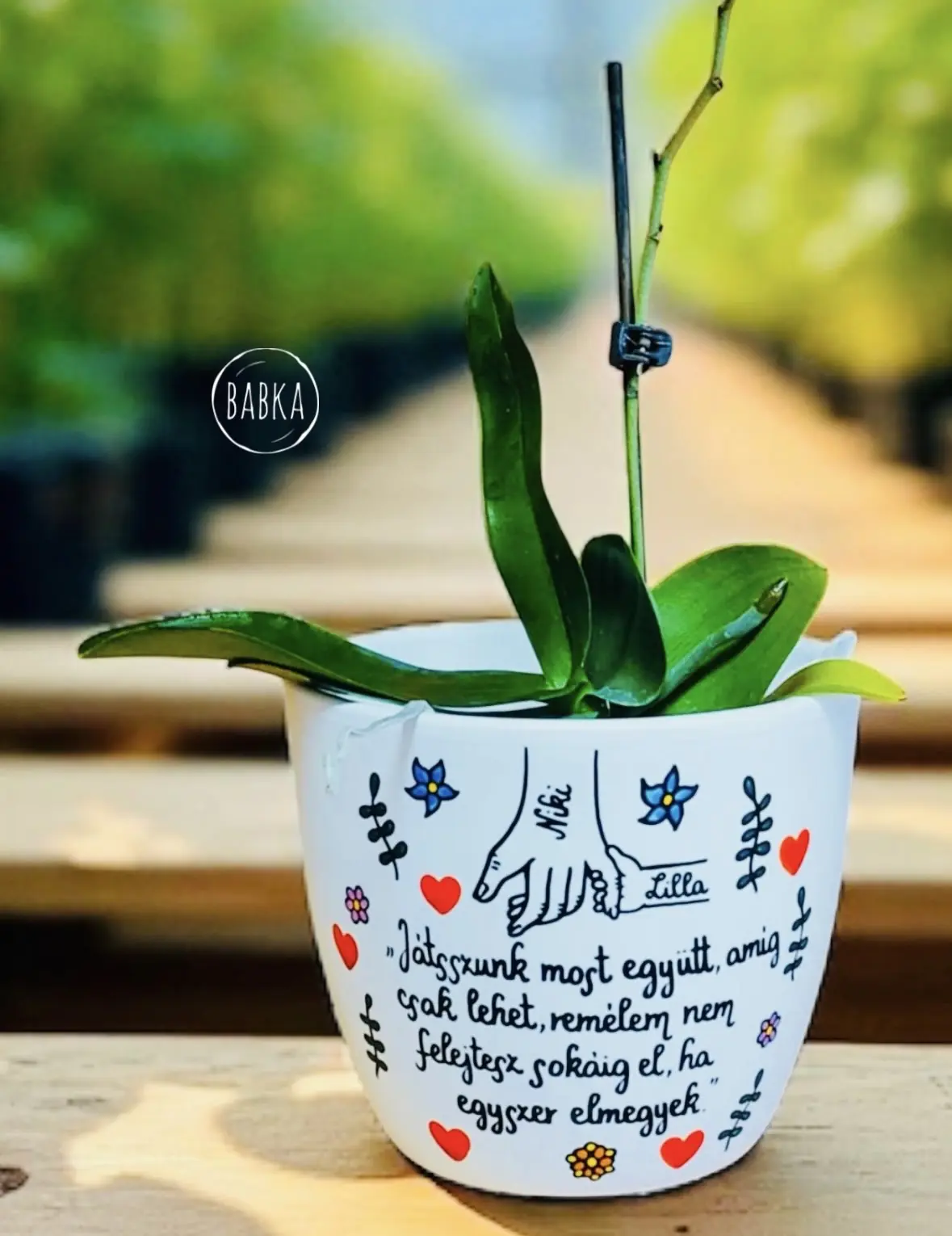 Ballagási kaspó (személyre szabható)