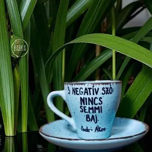 Nincs semmi baj (csésze) (presszós)
