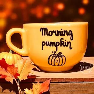 Morning pumpkin (bögre) (limitált)