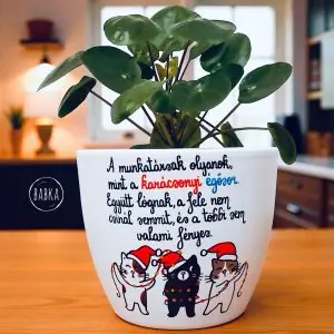 Munkahelyi barátság kaspó (égősor)