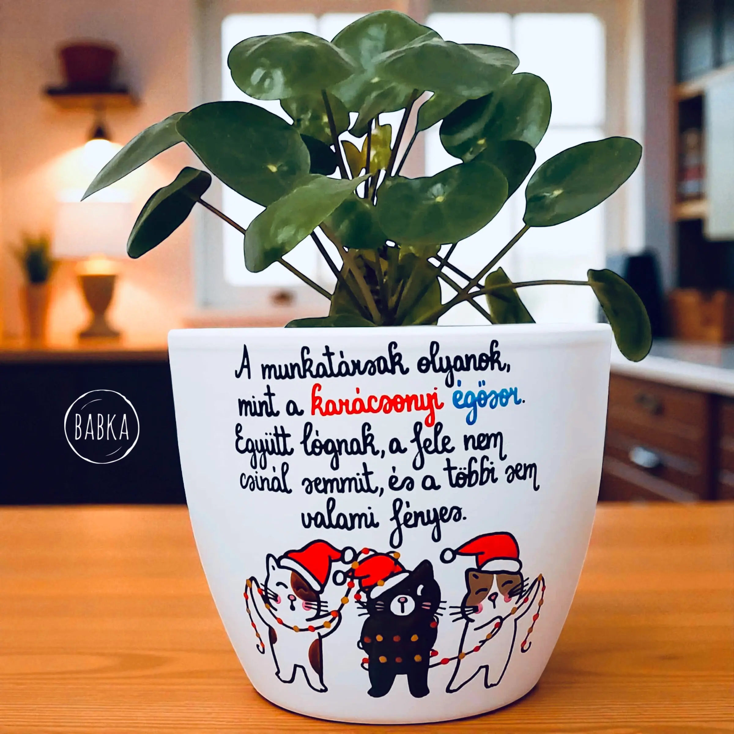 Munkahelyi barátság kaspó (égősor)