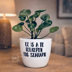 Ez is a te lelkeden fog száradni (kaspó)