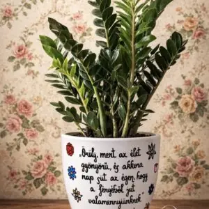 Szabó Magda kaspó (Az élet gyönyörű)