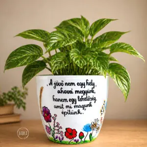 Ballagási kaspó (A jövő nem az a hely...)